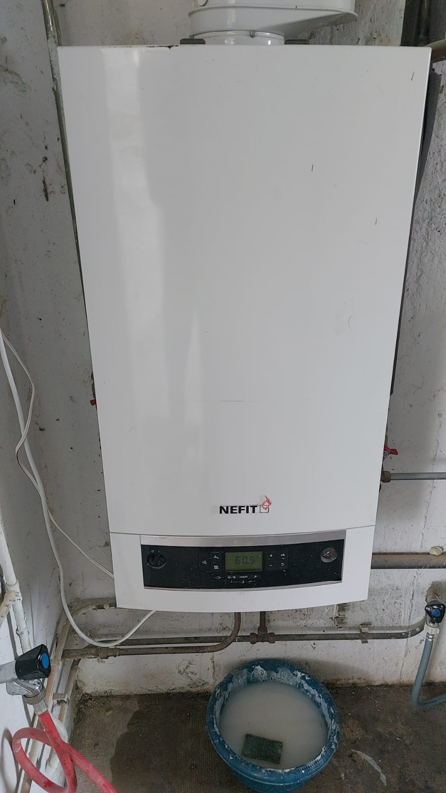 cv-ketel Rijnsburg cv-ketel Rijnsburg